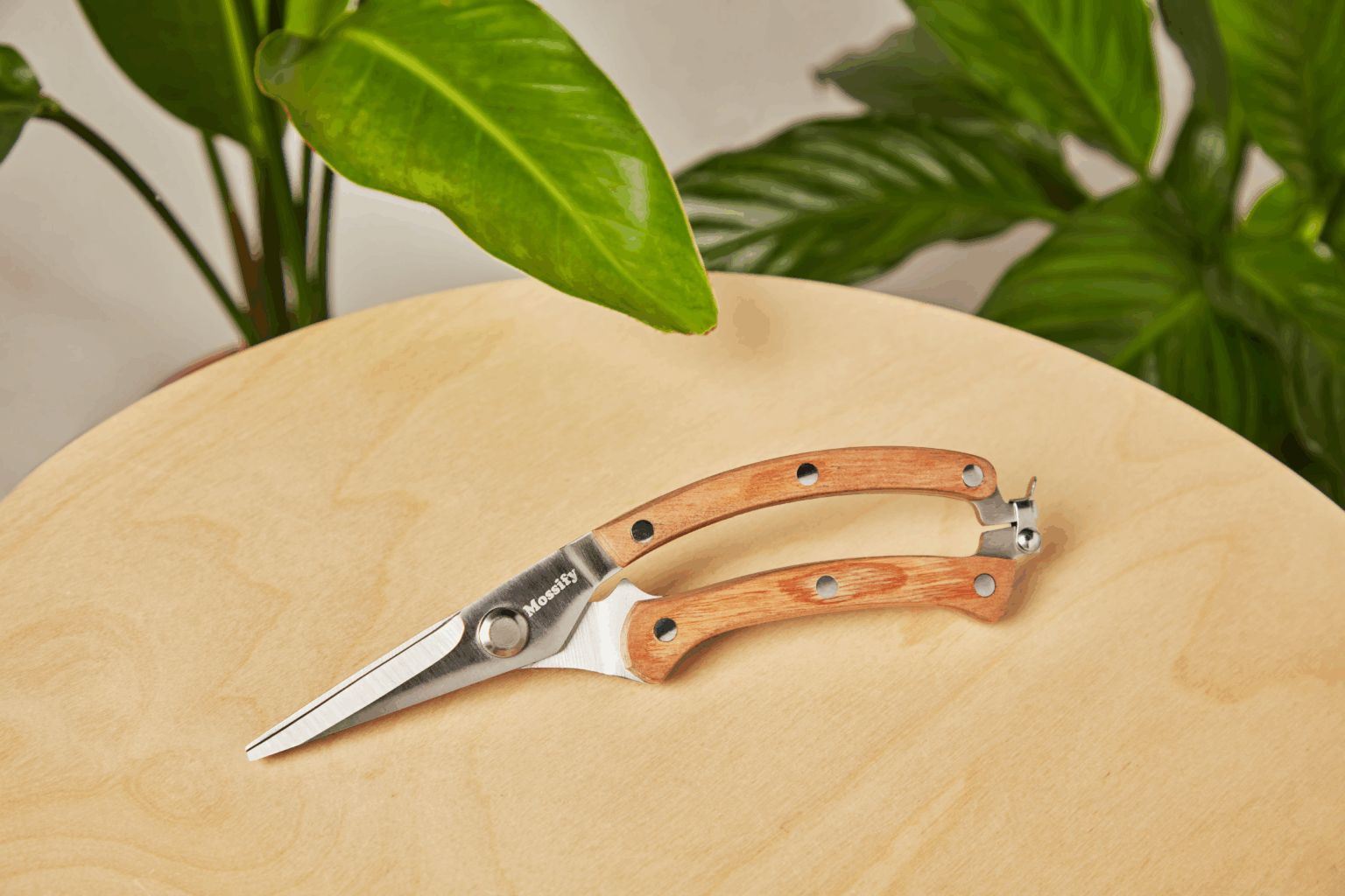 Buy Plant Care Tools for Indoor and Outdoor Plants | Bloomscape